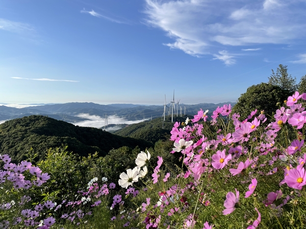保顶山风电。。。。。。，，，拍摄者（洪硕） (1).jpg